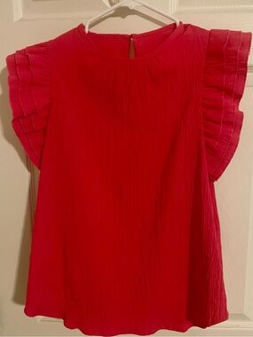 Ruffled Sleeve Pink Blouse